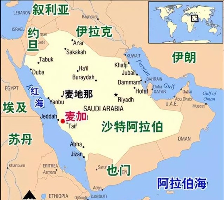 沙特貨貨運代理 沙特國際物流公司  沙特進(jìn)出口報關(guān)公司 沙特國際貨運代理有限公司