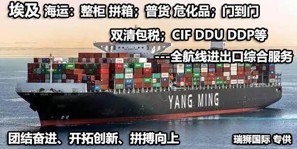 埃及貨貨運代理 埃及國際物流公司  埃及進(jìn)出口報關(guān)公司 埃及國際貨運代理有限公司