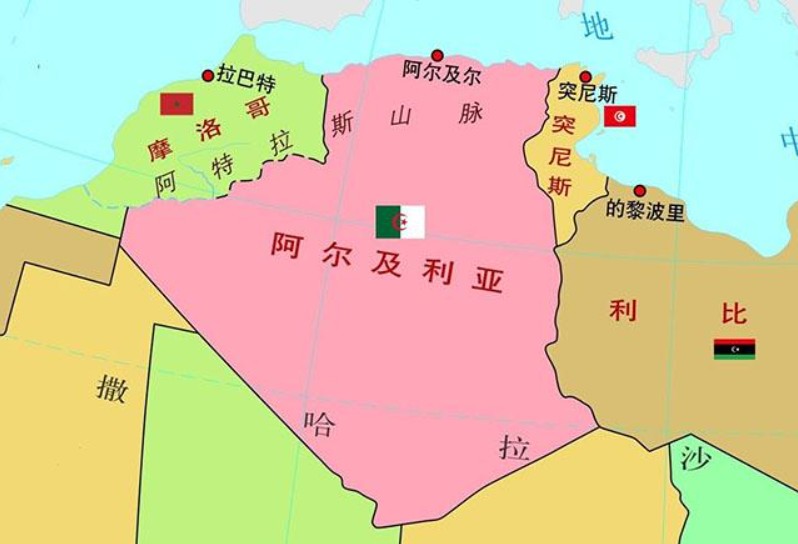 阿爾及利亞專(zhuān)線 阿爾及利亞海運(yùn)船期查詢(xún) 阿爾及利亞空運(yùn)貨物追蹤 阿爾及利亞海空聯(lián)運(yùn)雙清包稅門(mén)到門(mén)