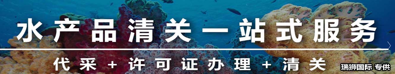 買單報(bào)關(guān)和代理報(bào)關(guān)的區(qū)別、買單報(bào)關(guān)和代理報(bào)關(guān)價(jià)格、買單和代理報(bào)關(guān)的區(qū)別、報(bào)關(guān)買單、買單報(bào)關(guān)有報(bào)關(guān)單  嗎、報(bào)關(guān)行買單報(bào)關(guān)、什么叫買單報(bào)關(guān)、代理報(bào)關(guān)的報(bào)關(guān)單、有單證報(bào)關(guān)和買單報(bào)關(guān)、報(bào)關(guān)單購買、為什么需要代理公司進(jìn)行報(bào)關(guān)自行報(bào)關(guān)和代理報(bào)關(guān)買單報(bào)關(guān)和單證報(bào)關(guān)的區(qū)別、自主報(bào)關(guān)和代理報(bào)關(guān)的區(qū)別、買單報(bào)關(guān)和正常報(bào)關(guān)的區(qū)別、代理報(bào)關(guān)服務(wù)屬于什么服務(wù)、代理報(bào)關(guān)、報(bào)關(guān)和買單的區(qū)別、代理報(bào)關(guān)和買單報(bào)關(guān)費(fèi)用是一樣的嗎、買單報(bào)關(guān)和退稅報(bào)關(guān)的區(qū)別、買單報(bào)關(guān)和代理報(bào)關(guān)的區(qū)別、單獨(dú)報(bào)關(guān)和買單報(bào)關(guān)、買單報(bào)關(guān)需要提供什么給貨代、買單報(bào)關(guān)和單獨(dú)報(bào)關(guān)的區(qū)別、報(bào)關(guān)買單、代理報(bào)關(guān)公司